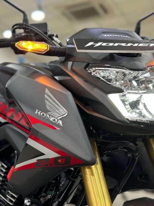 New-Honda-Hornet-2.0-2